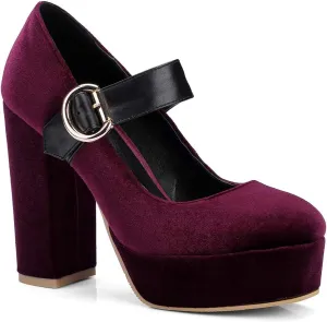 LEHOOR Women Chunky High Heel Round Toe Loafer Pumps Platform Mary Jane Ankle Strap Buckle Ladies Shoes Fashion 4-10 M US