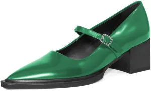 YDN Womens Mary Jane Chunky Block Low Heel Pumps Chic Closed Pointed Toe Buckled Strap Comfortable Dress Shoes Daily Size 4-16 US